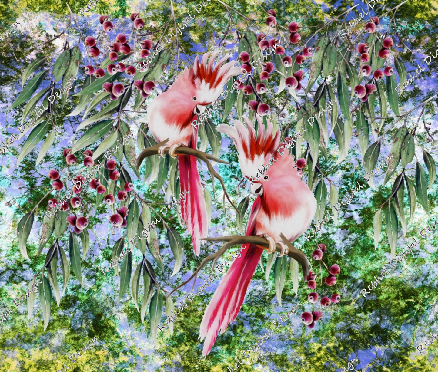 Pink Galahs in the wild©