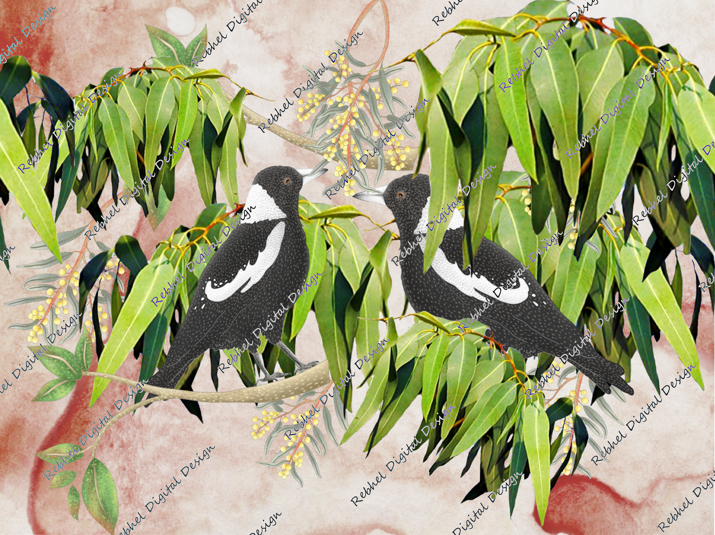 Aussie Magpies