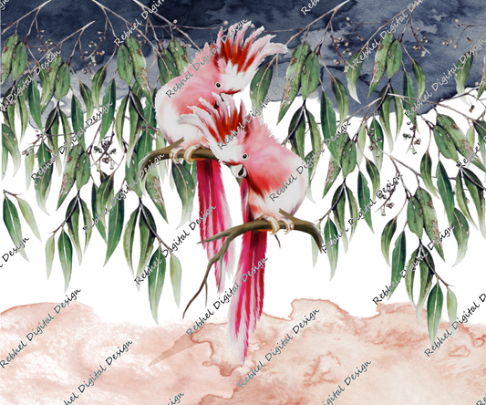 Pink Galahs-grey watercolour©