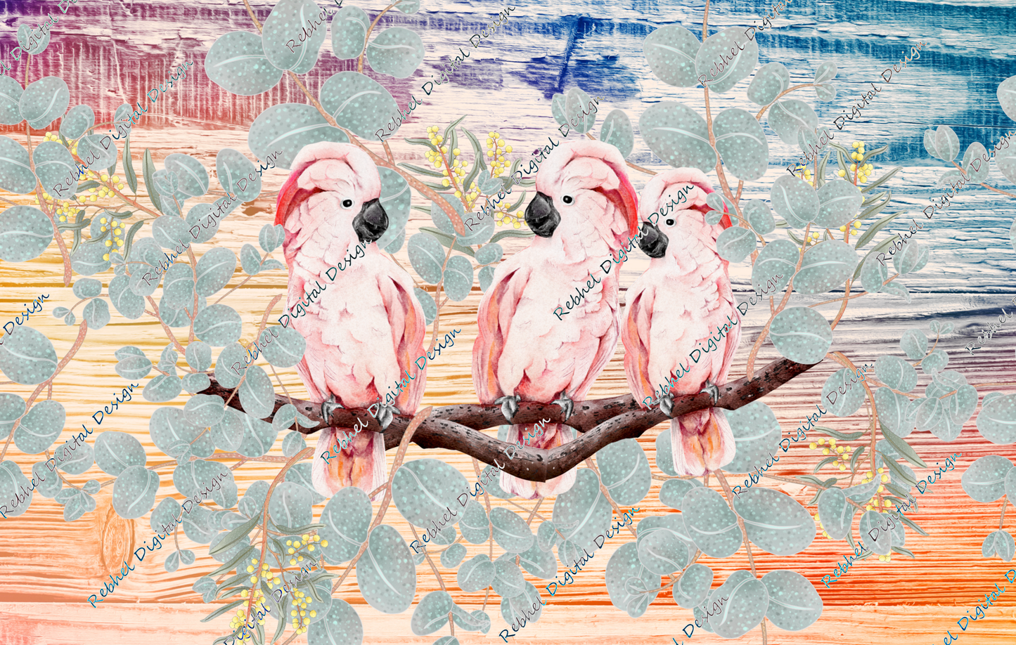 Pink Galahs©