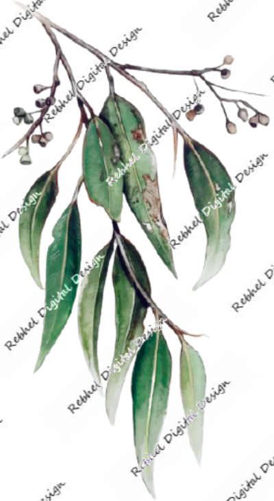 Gum Leaves Bundle