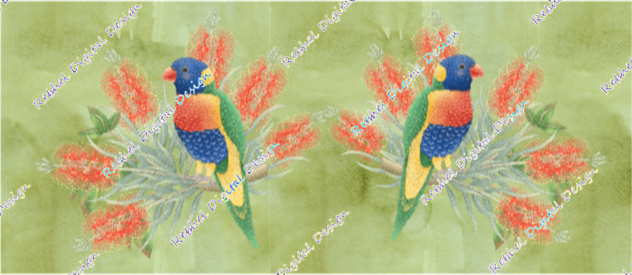 Rosella birds